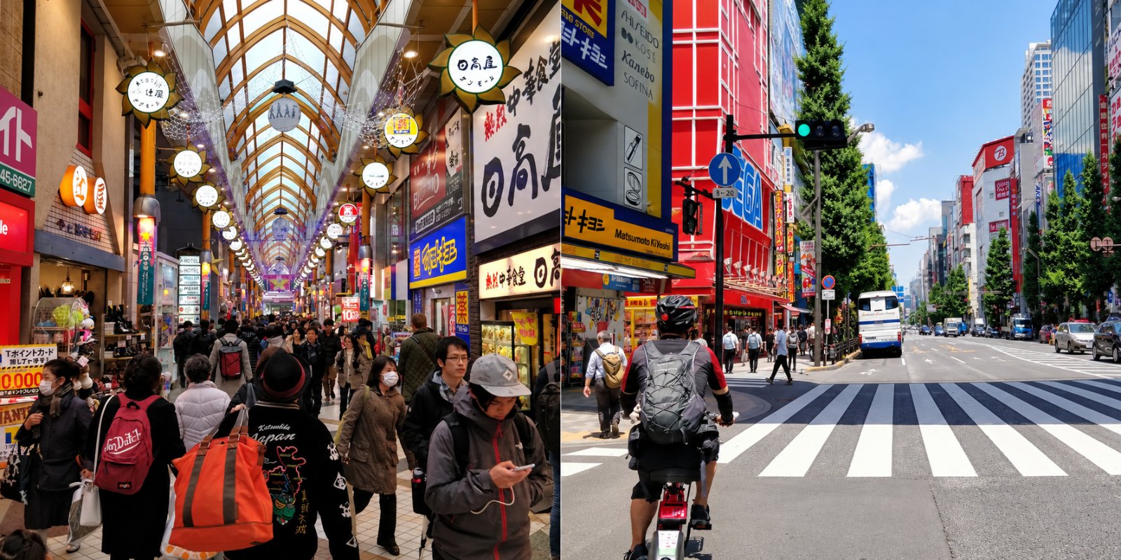 Side-by-side cover: the covered shopping arcade in Nakano on the left and an Akihabara street with a red SEGA building on the right